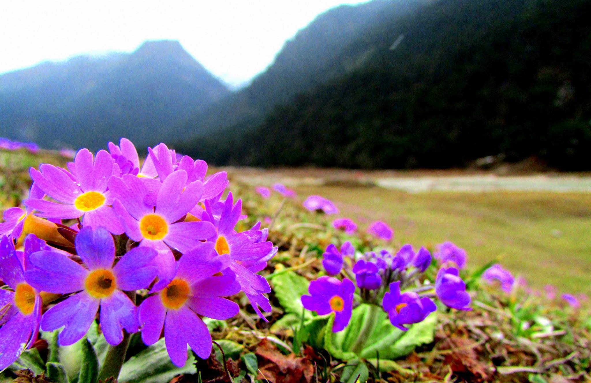 11 reasons why Sikkim should be on your bucket list.