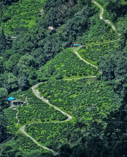 Local routes around Darjeeling