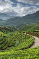Darjeeling