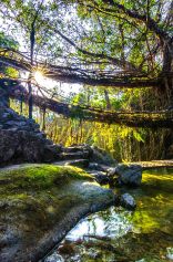 Meghalaya